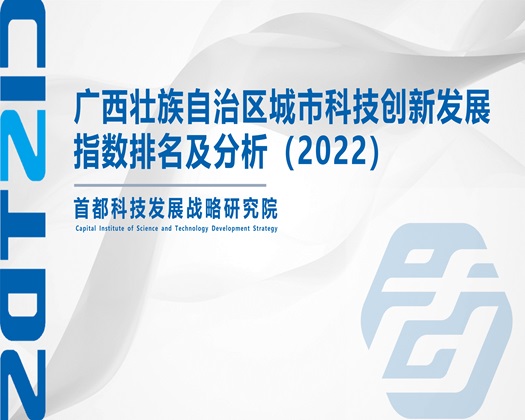 后入老太太【成果发布】广西壮族自治区城市科技创新发展指数排名及分析（2022）